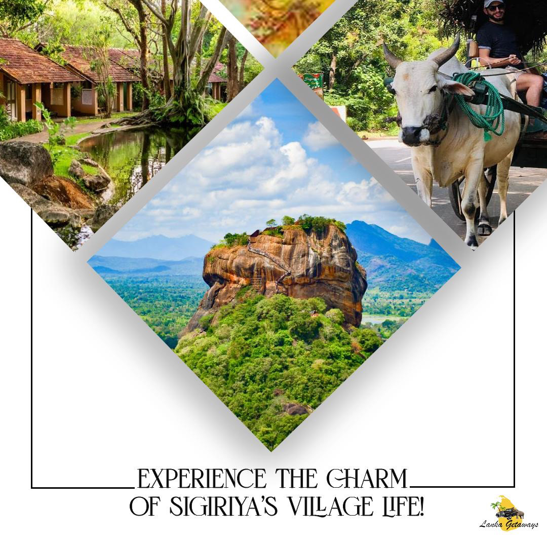 The Charm of Sigiriya Village Life