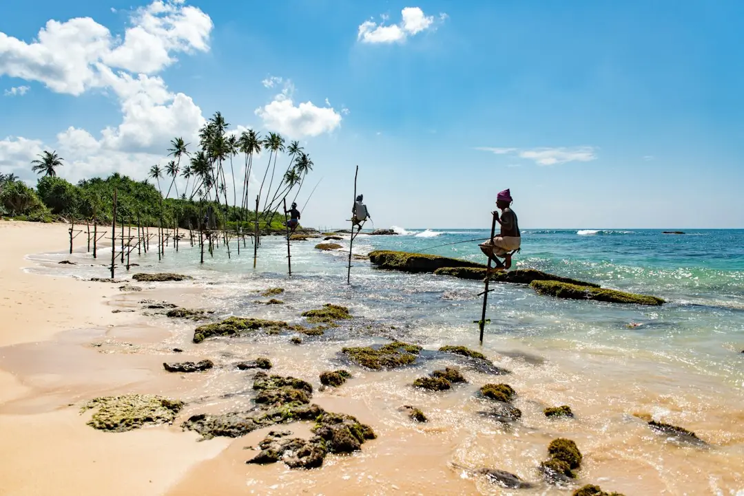 Best Time to Visit Sri Lanka: Weather by Month